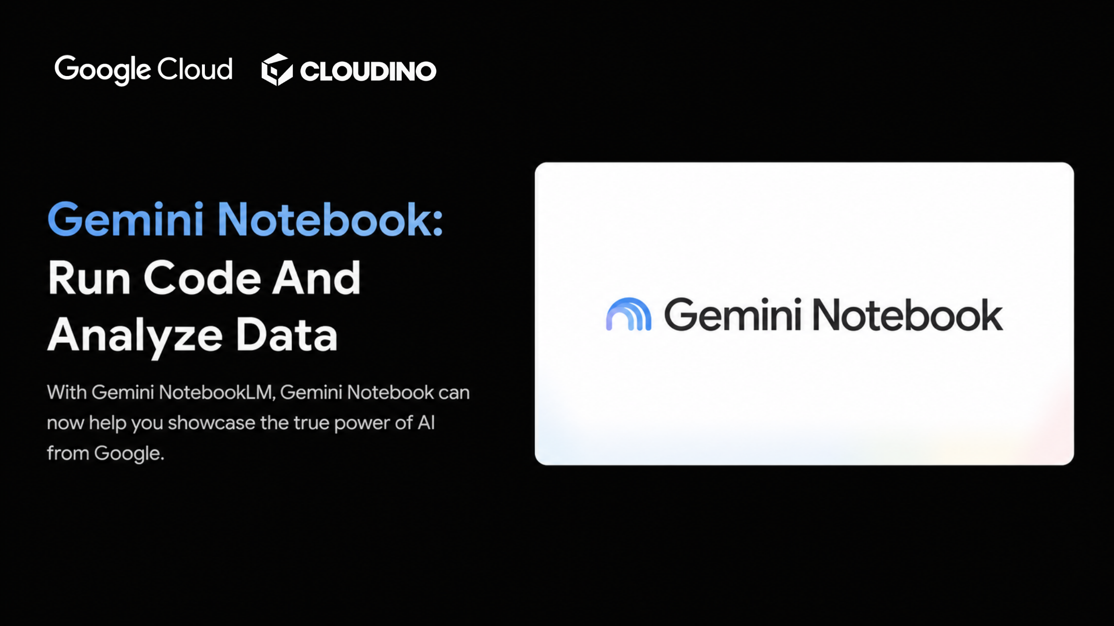 Gemini Notebook: Running Code and Data Analysis